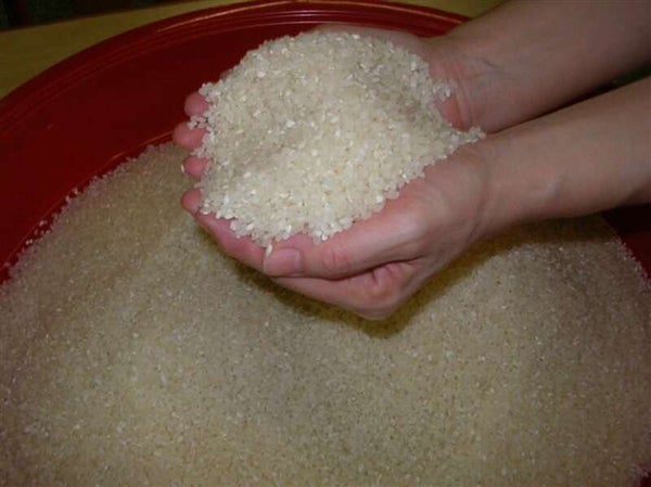 【福知山駅・綾部駅発】母に捧げる温泉&グルメミステリーツアー2日間3